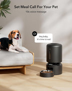 Automatic Cat Feeder Dog Food Dispenser Auto Timer Pet Feeding Tray, Low Food & Motion & Sound Alerts, 4L Basic